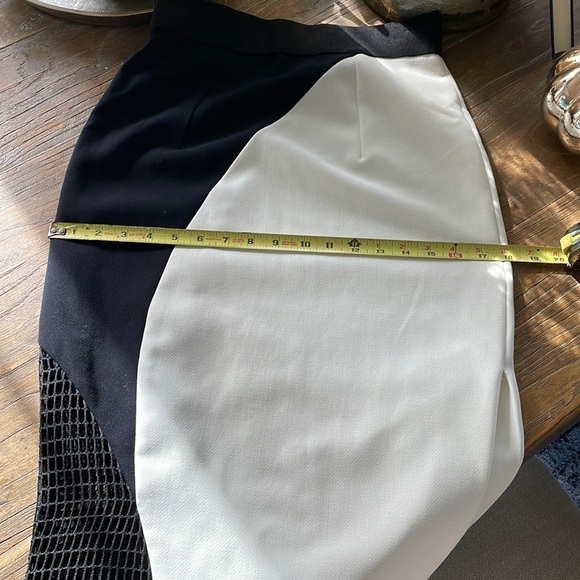 Milly Helix Mesh Skirt - Picture 14 of 15